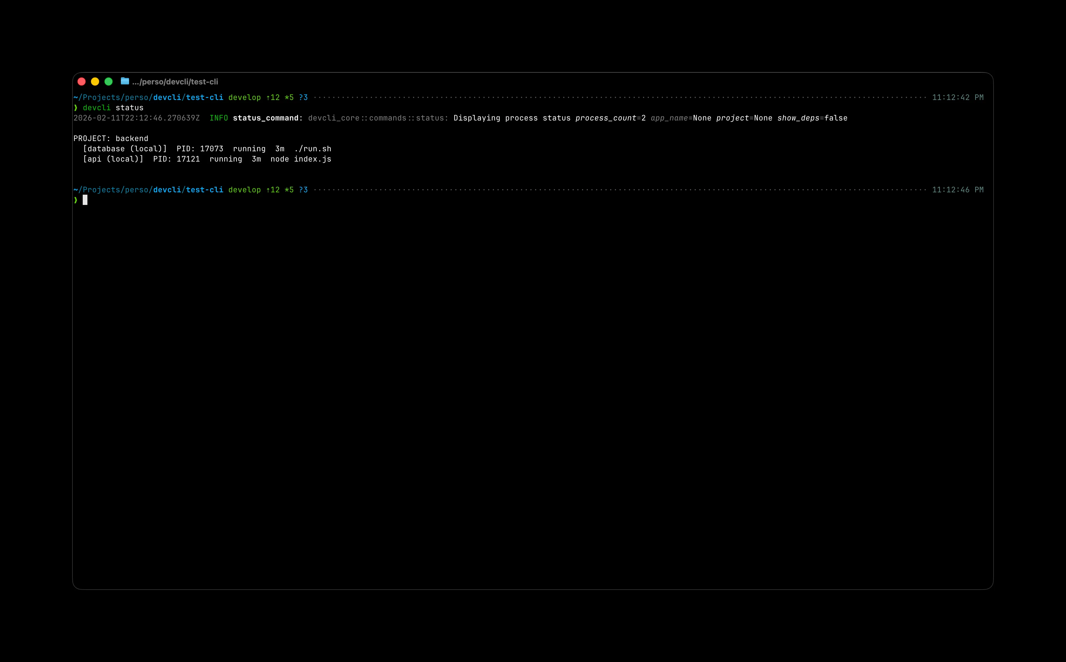 DevCLI status command showing colorful process information